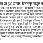 WhatsApp Image 2026-07-09 at 19.49.58 (25)