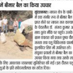 WhatsApp Image 2026-07-09 at 19.49.58 (9)